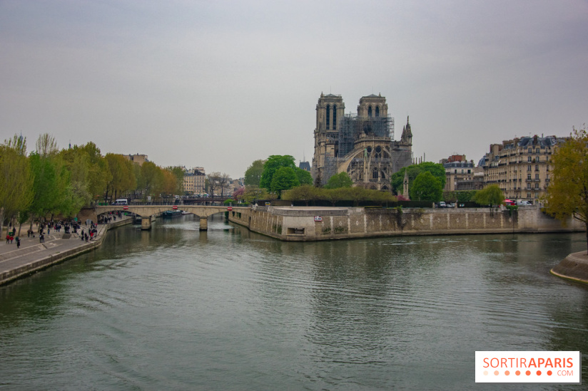Notre Dame de Paris, les photos des dégâts