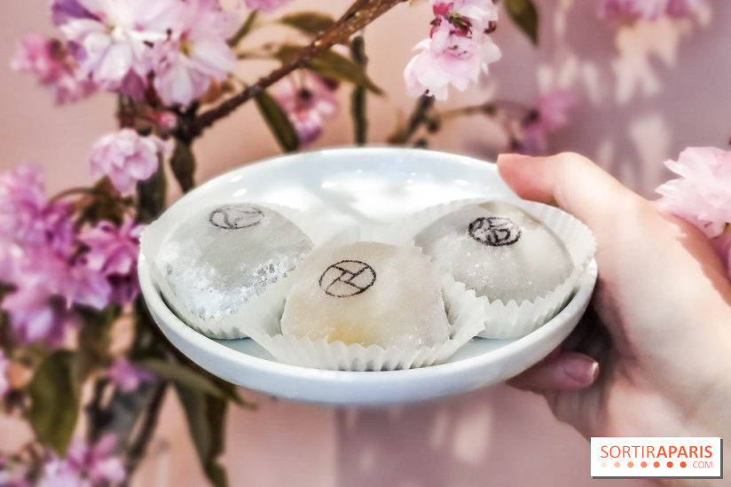 La Maison du Mochi, les photos