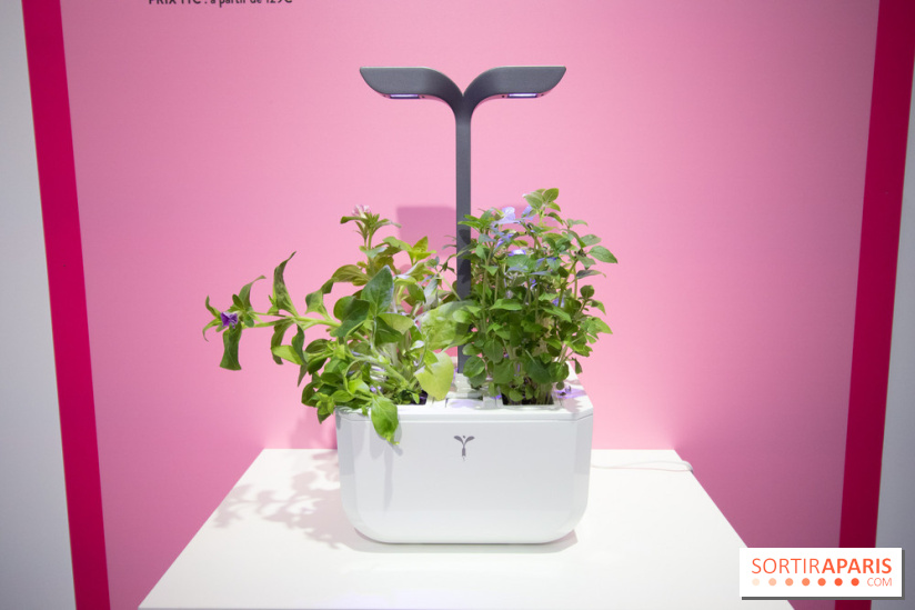 Foire de Paris 2019 : innovation