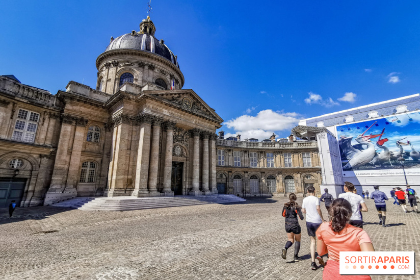 Run My City 2019, les photos