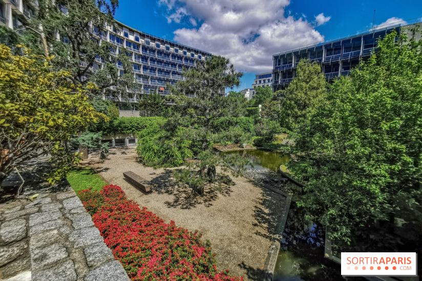 Run My City 2019, les photos