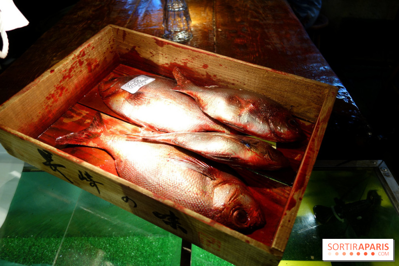 Kodawari Ramen Tsukiji à Paris, les photos