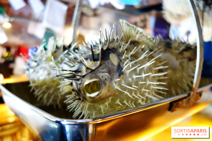 Kodawari Ramen Tsukiji à Paris, les photos