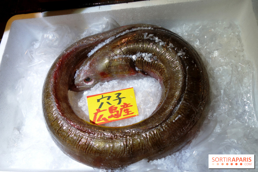 Kodawari Ramen Tsukiji à Paris, les photos