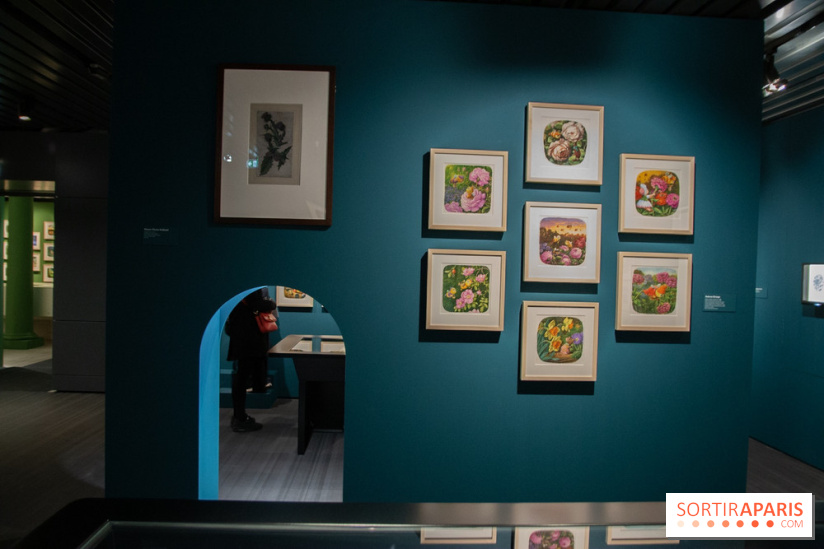 Les drôles de petites bêtes d'Antoon Krings au Musée des Arts Décoratifs : nos photos