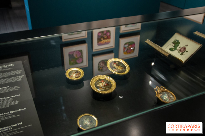 Les drôles de petites bêtes d'Antoon Krings au Musée des Arts Décoratifs : nos photos