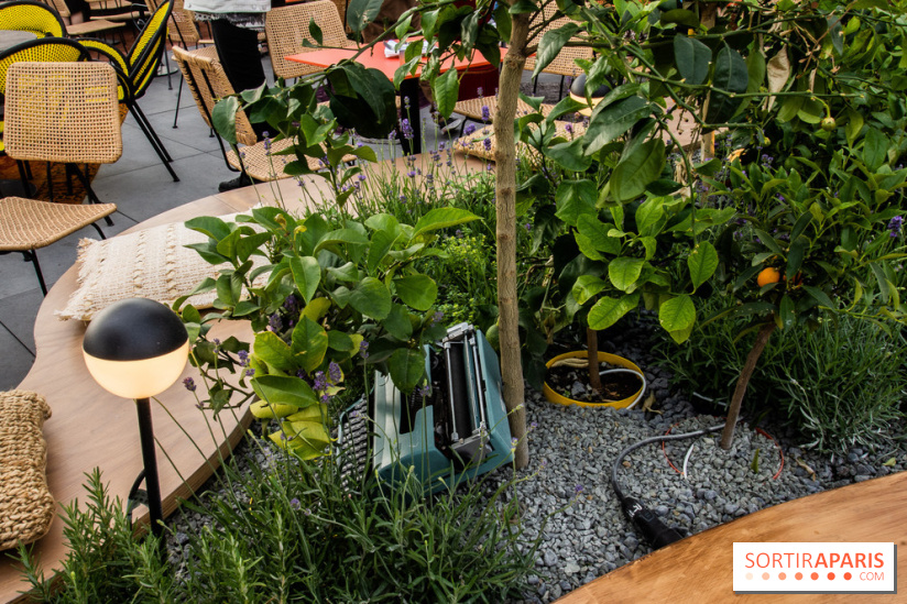 Créatures : le restaurant éphémère sur la terrasse des Galeries Lafayette, les photos