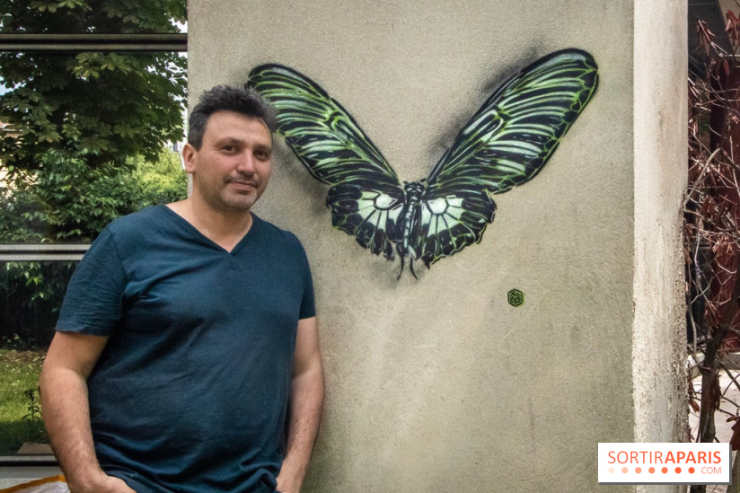 Les Papillons de C215