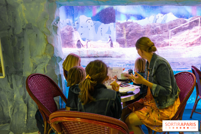 Les petits déjeuners avec les manchots de l'aquarium Sea Life