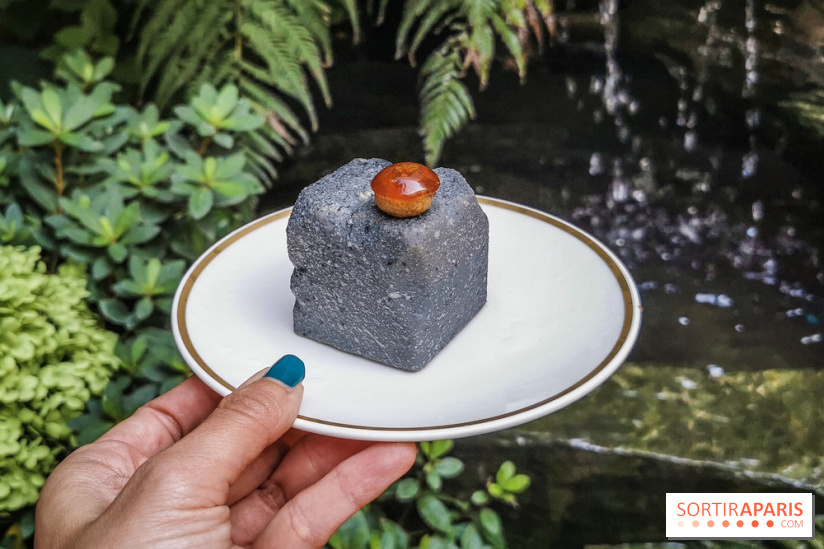 La Noisette 3, le pavé de Quentin Lechat au T’time Jardin Privée