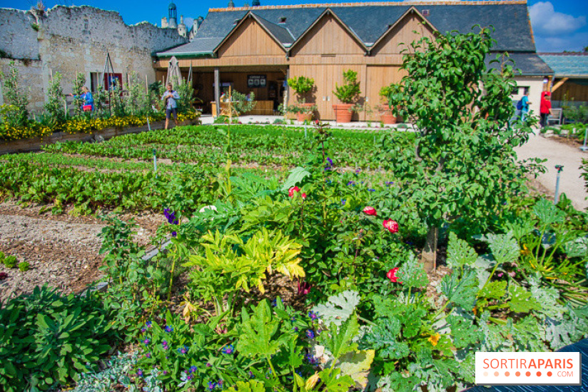 Le Château de Chambord fête ses 500 ans : le programme des festivités