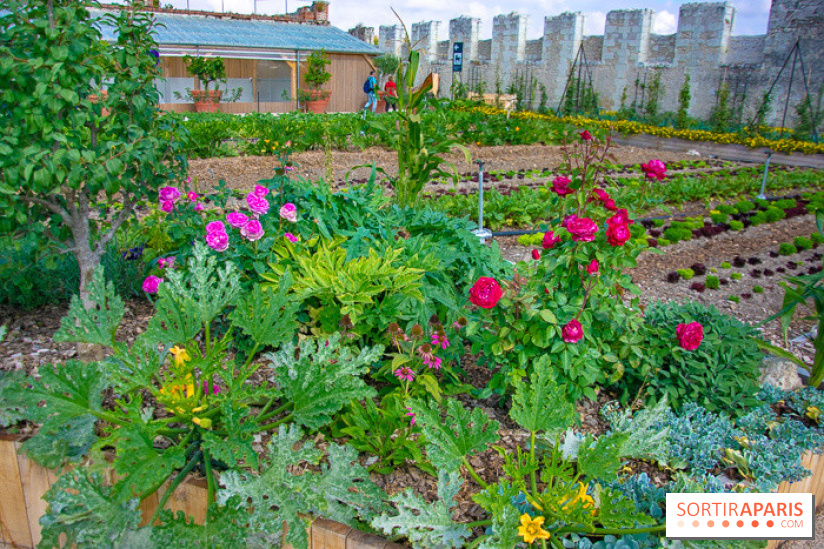 Le Château de Chambord fête ses 500 ans : le programme des festivités