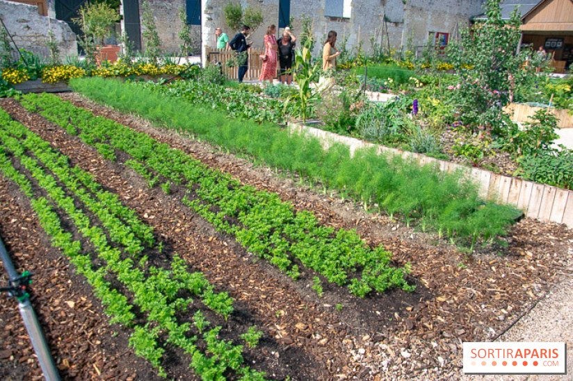Le Château de Chambord fête ses 500 ans : le programme des festivités