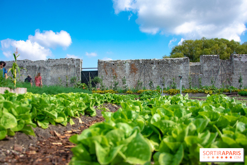 Le Château de Chambord fête ses 500 ans : le programme des festivités