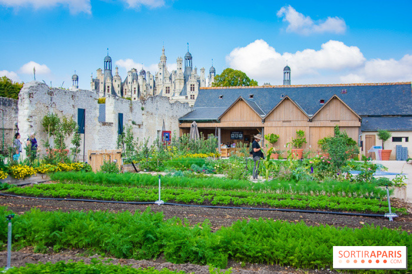 Le Château de Chambord fête ses 500 ans : le programme des festivités