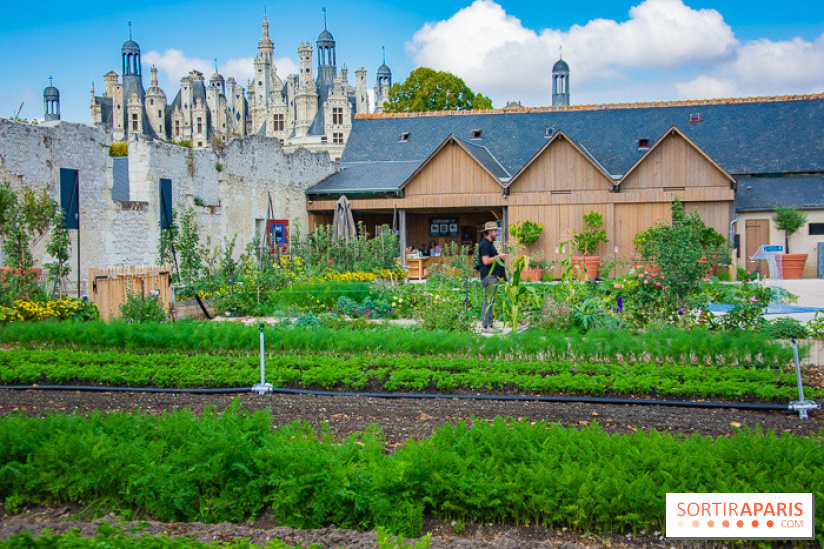 Le Château de Chambord fête ses 500 ans : le programme des festivités