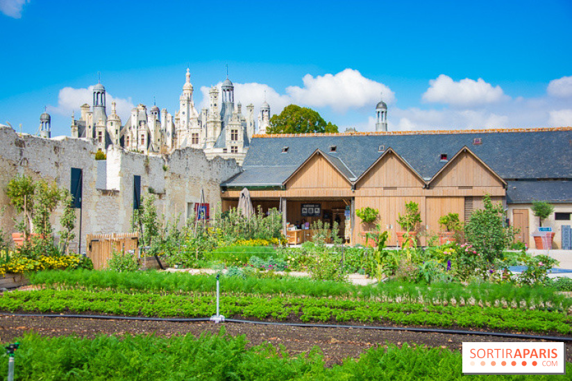 Le Château de Chambord fête ses 500 ans : le programme des festivités