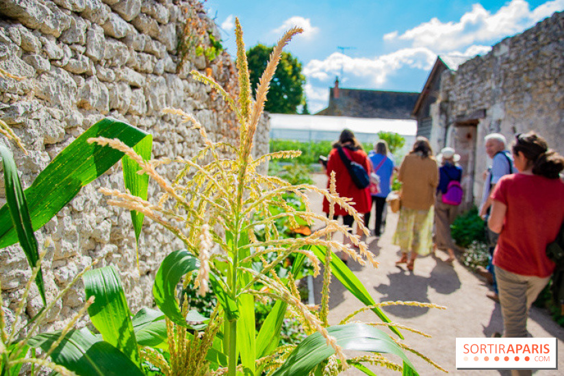 Le Château de Chambord fête ses 500 ans : le programme des festivités