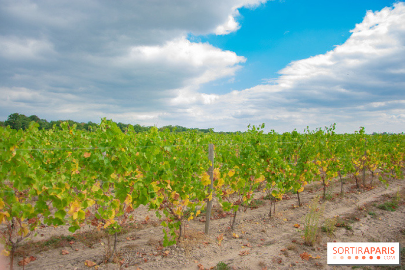 Le Château de Chambord fête ses 500 ans : le programme des festivités
