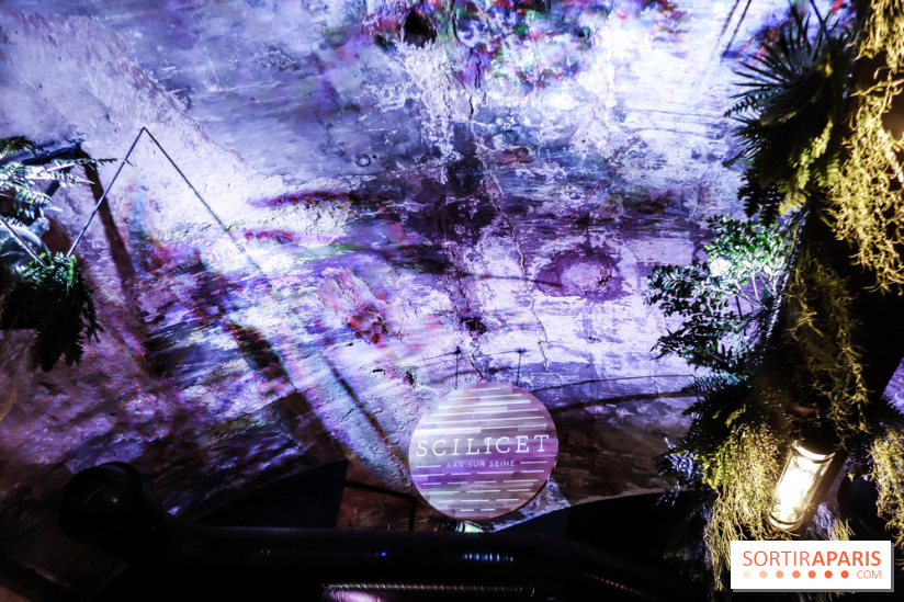 Bar le Scilicet, les photos