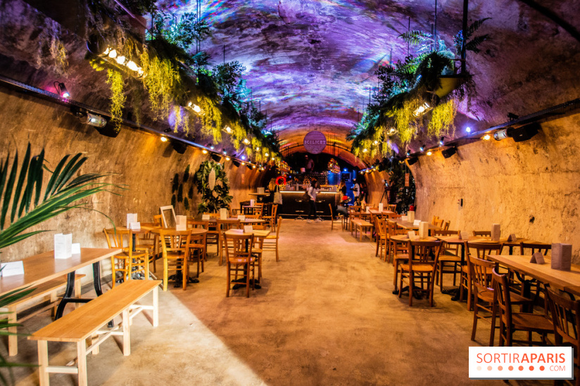 Bar le Scilicet, les photos