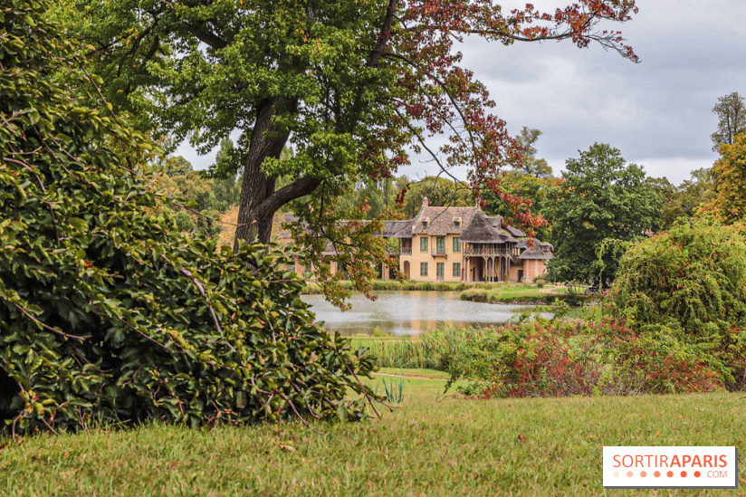 Le parcours des Arbres Admirables dans le domaine du château de Versailles