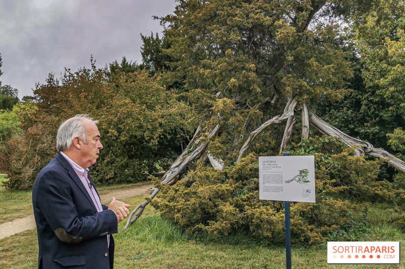 Le parcours des Arbres Admirables dans le domaine du château de Versailles