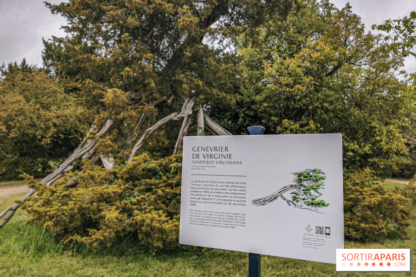 Le parcours des Arbres Admirables dans le domaine du château de Versailles