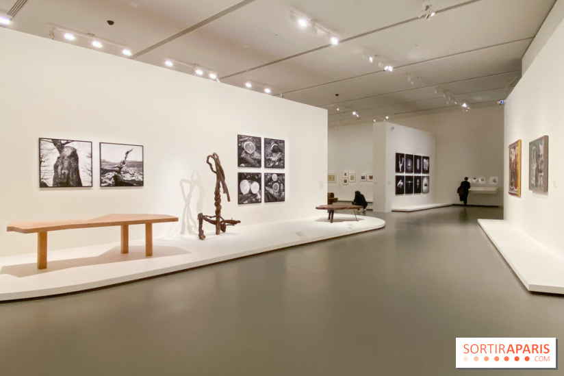 Charlotte Perriand à la Fondation Vuitton