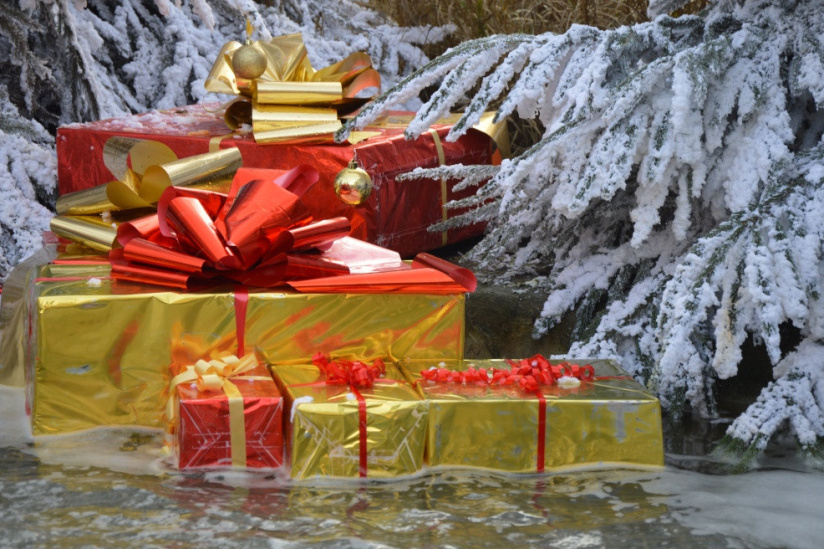 Noël 2019 au Château de Cheverny