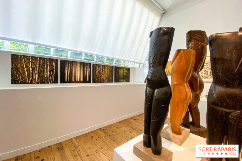 Le Rêveur de la Forêt au Musée Zadkine