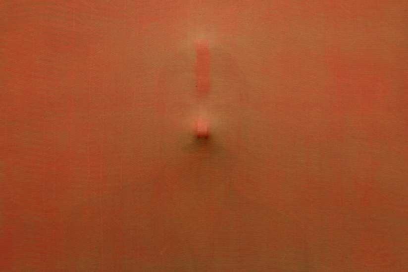 Nuit Blanche 2024 : une installation entre nature et culture à la Galerie Saint-Séverin