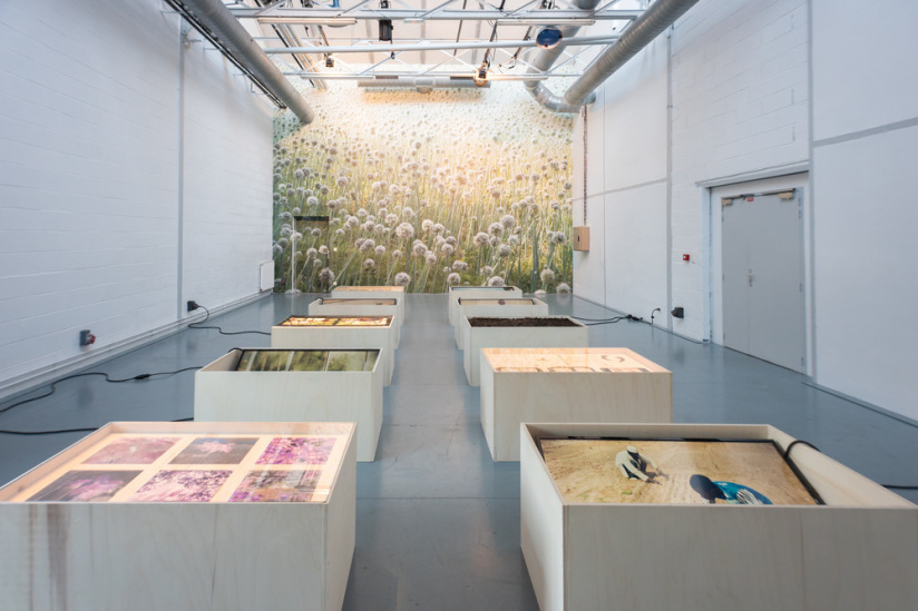 Zones critiques, le festival d'art contemporain écolo