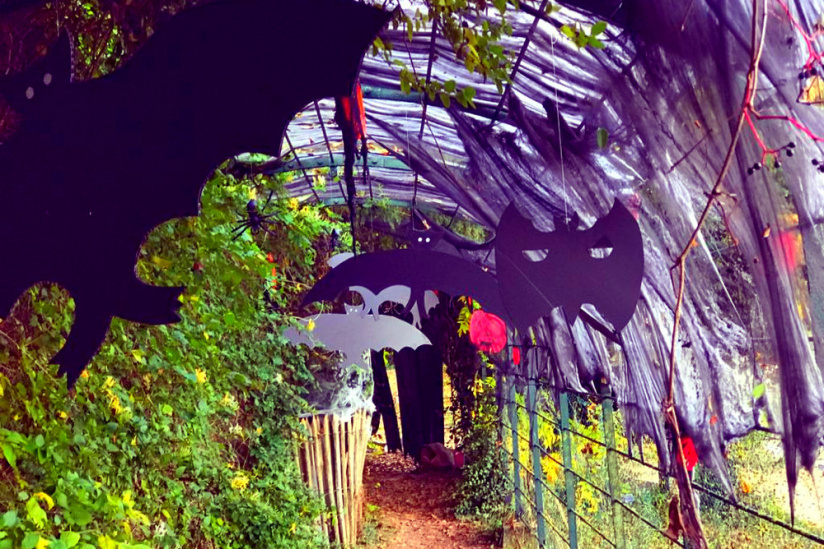 Halloween au Potager des Princes à Chantilly