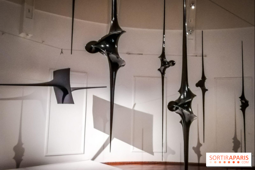 Le musée Guimet offre une Carte blanche à l'artiste Toshimasa Kikuchi