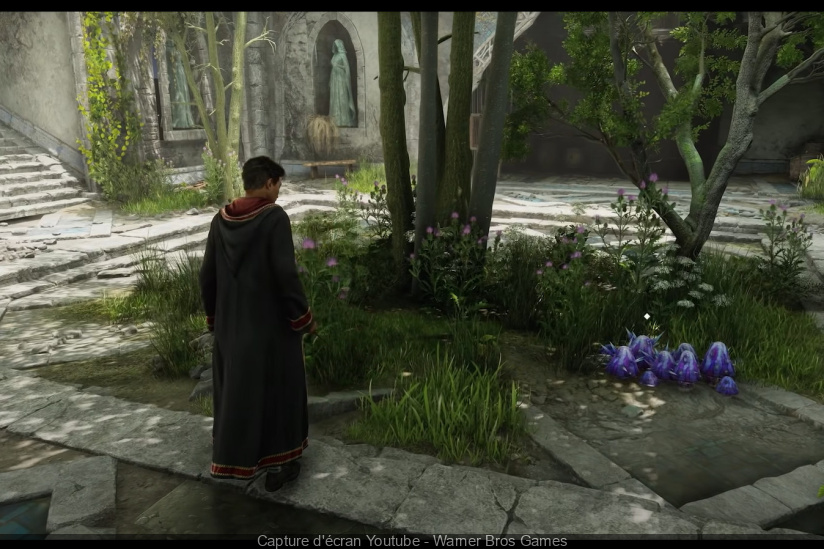 Hogwarts Legacy revela sus requisitos en PC