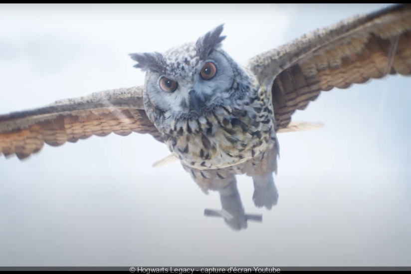 Hogwarts Legacy - Trailer cinematografico L'invito 