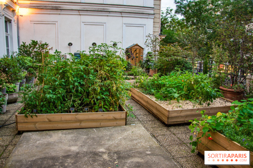 L'Hôtel des Grands Boulevards inaugure son potager suspendu