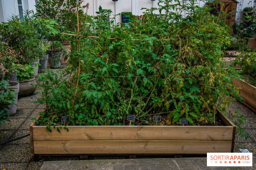 L'Hôtel des Grands Boulevards inaugure son potager suspendu