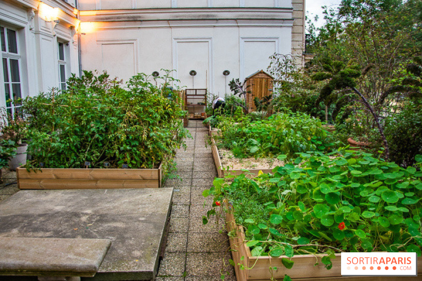 L'Hôtel des Grands Boulevards inaugure son potager suspendu