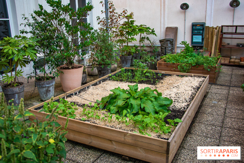 L'Hôtel des Grands Boulevards inaugure son potager suspendu