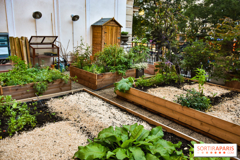 L'Hôtel des Grands Boulevards inaugure son potager suspendu