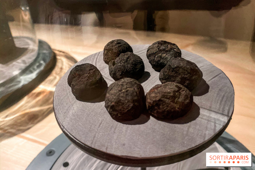 Je mange donc je suis au Musée de l'Homme