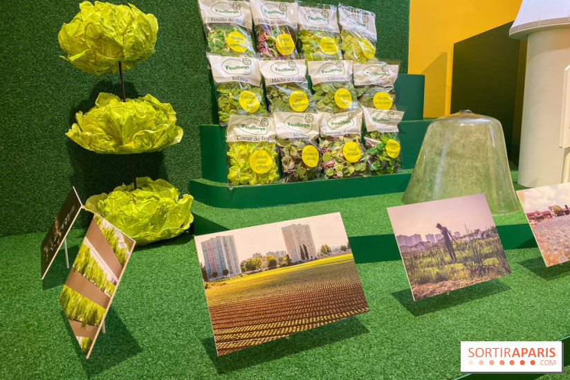 Je mange donc je suis au Musée de l'Homme