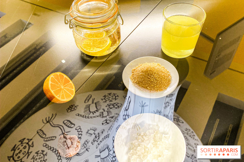 Je mange donc je suis au Musée de l'Homme