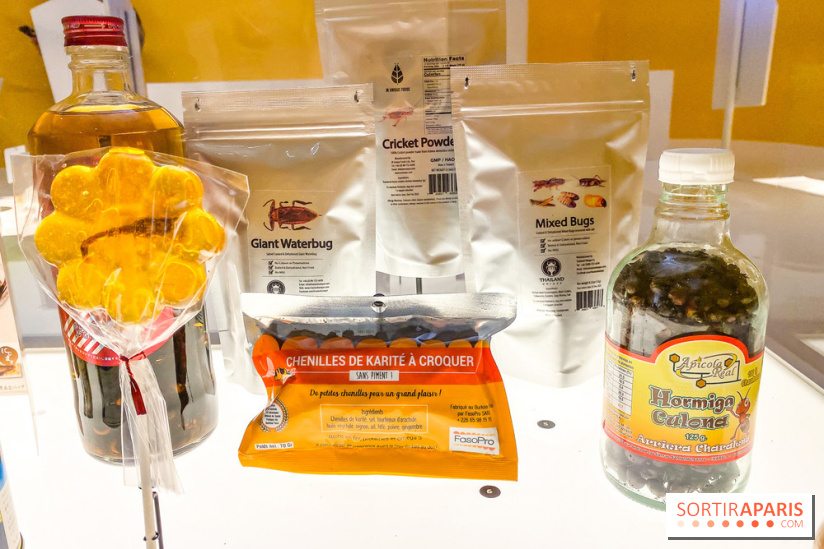 Je mange donc je suis au Musée de l'Homme