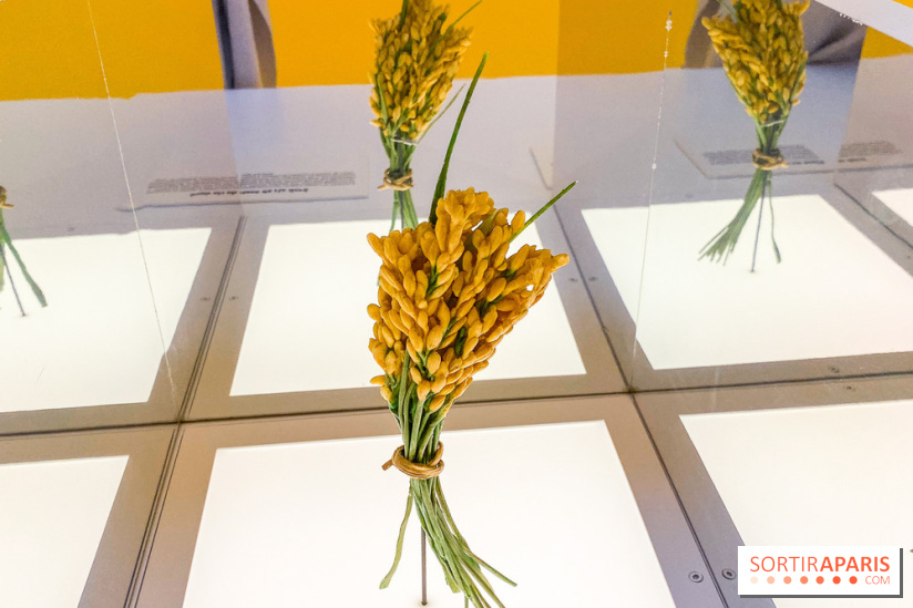 Je mange donc je suis au Musée de l'Homme