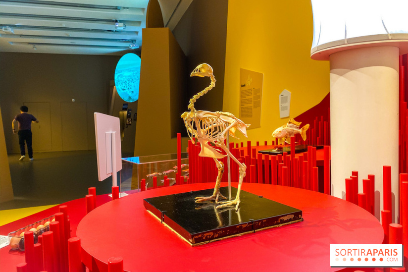 Je mange donc je suis au Musée de l'Homme