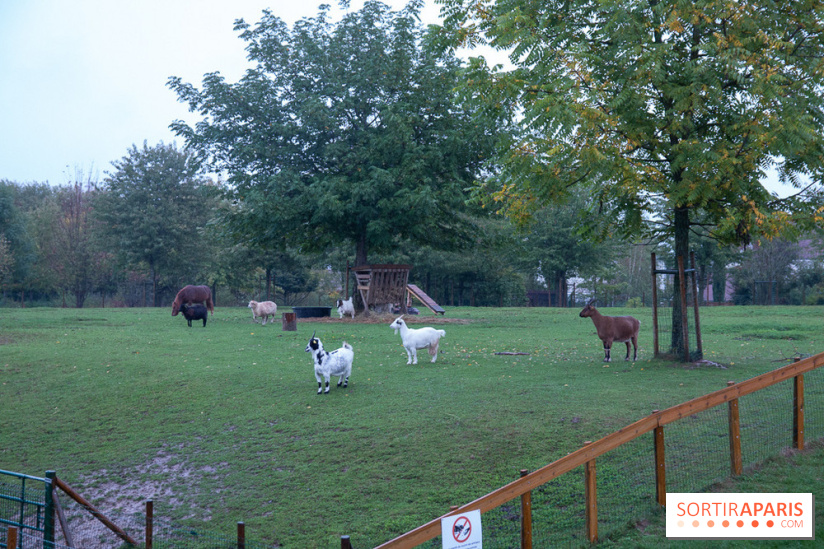 Campanile Val de France : nos photos