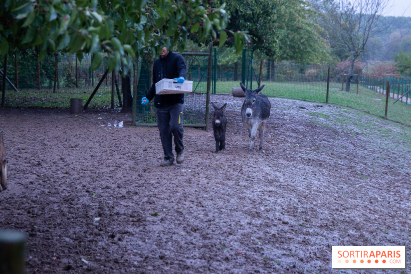 Campanile Val de France : nos photos